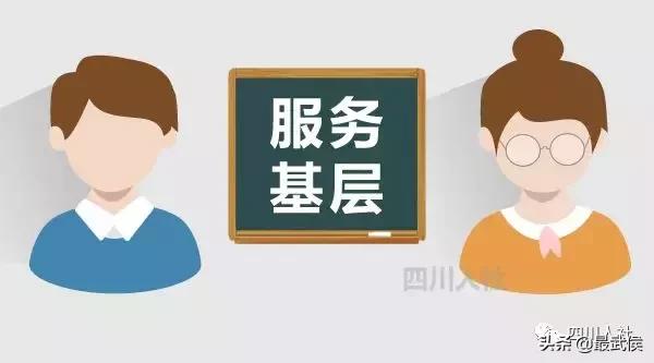 四川选调生2024选调公告官网,四川选调生2024选调公告名额