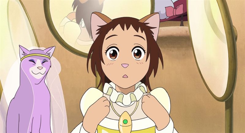 猫的报恩在哪里才看得到,猫的报恩行为