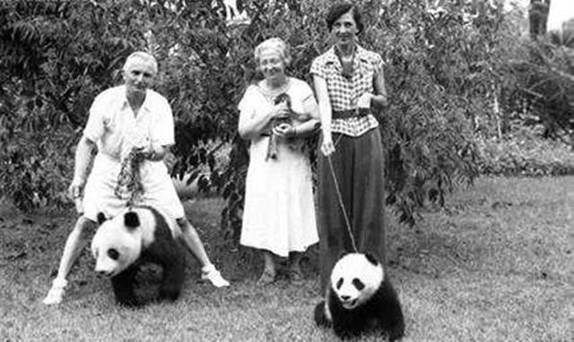 美国偷熊猫的露丝后来怎么样了,美国女网红露丝