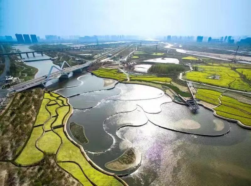 再谈西咸,话说西咸