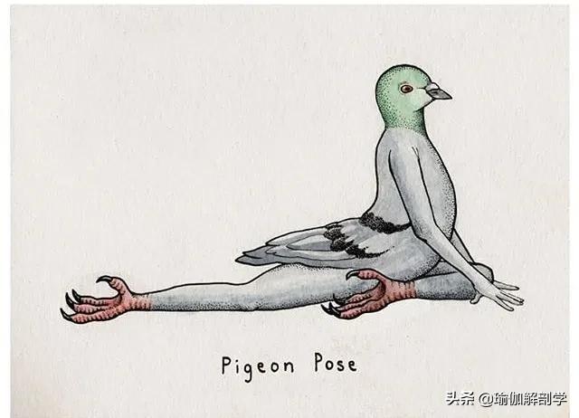 100张户外瑜伽唯美图片,各种动物瑜伽姿势图片