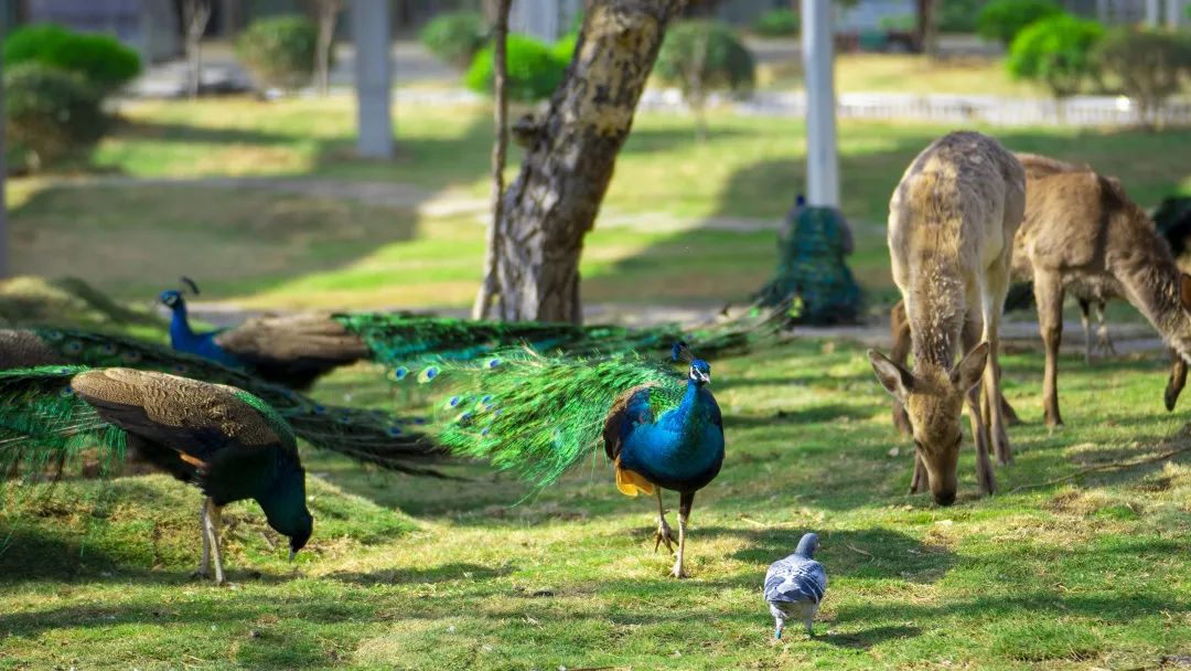 这个真实存在的古村落美如仙境,沂蒙山风景区内的古村落