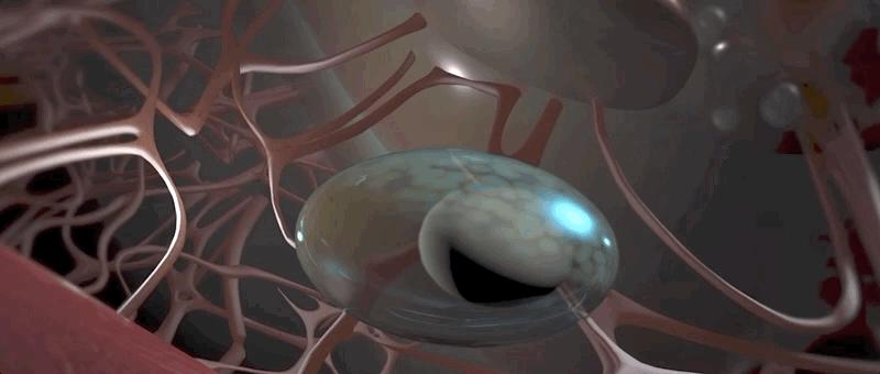 哮喘过敏症的症状,呼吸道过敏哮喘症状