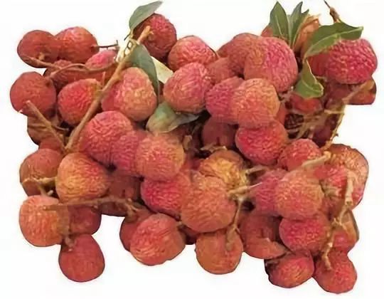 知道家乡的特产怎么发朋友圈,知道自己地区的特产吗