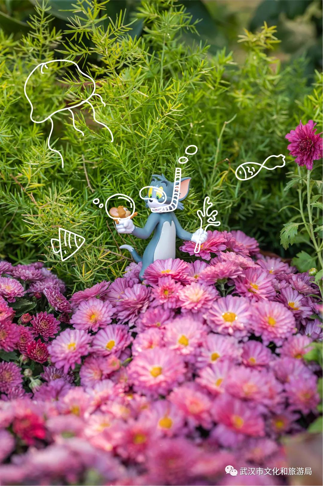 鏉ユ睙婊╄祻鑿婅姳,鑿婅姳鐑傛极