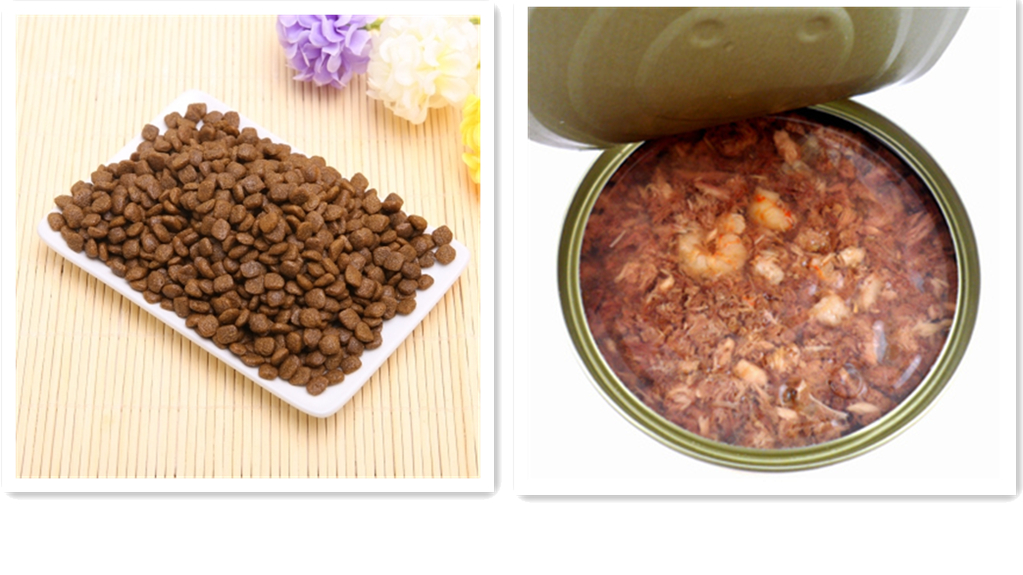 猫咪黑下巴怎么治用什么药,怎么选猫粮才能预防猫咪黑下巴