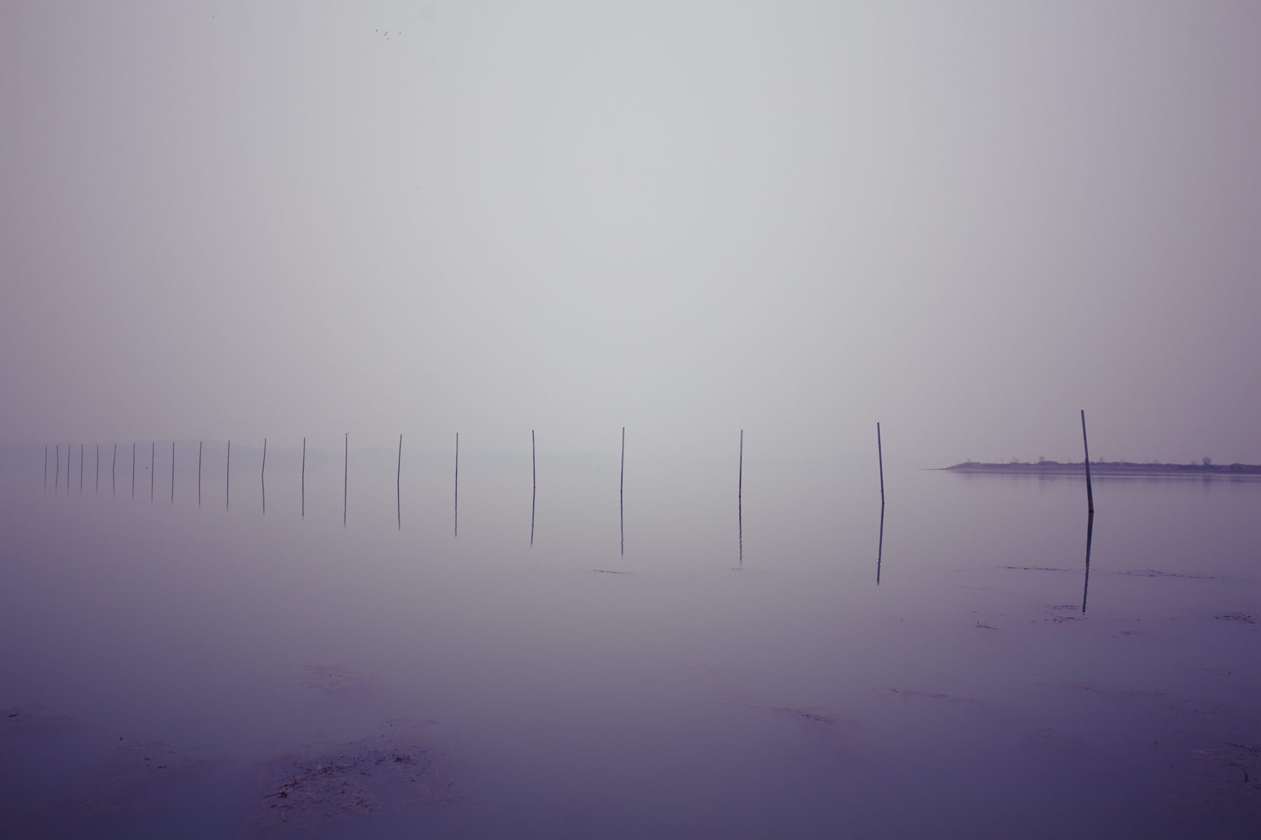 非繁城品酒店探店,非繁城品首店