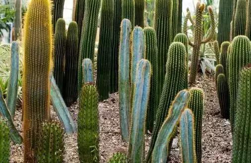 野外生存小技巧怎么过滤水,野外生存取水的正确方法