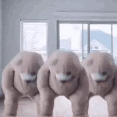 今日表情包第三弹图片,今日表情包收藏