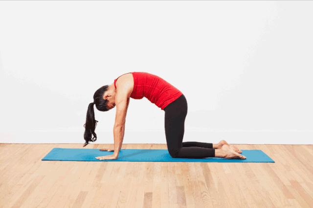 瑜伽康复理疗效果如何,瑜伽理疗有必要学吗