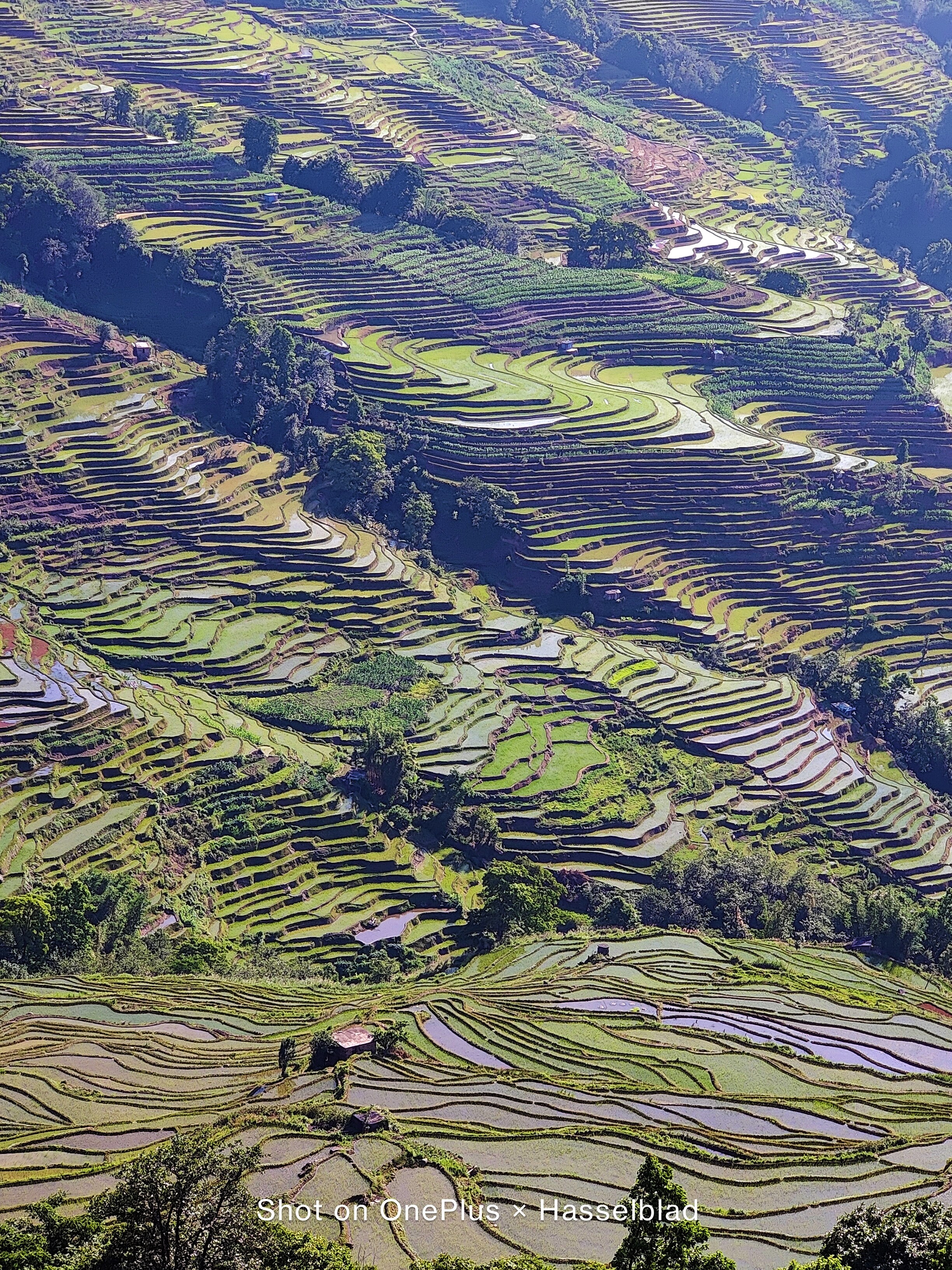 最高降价超500元，低至4000元，最值得购买的拍照手机推荐