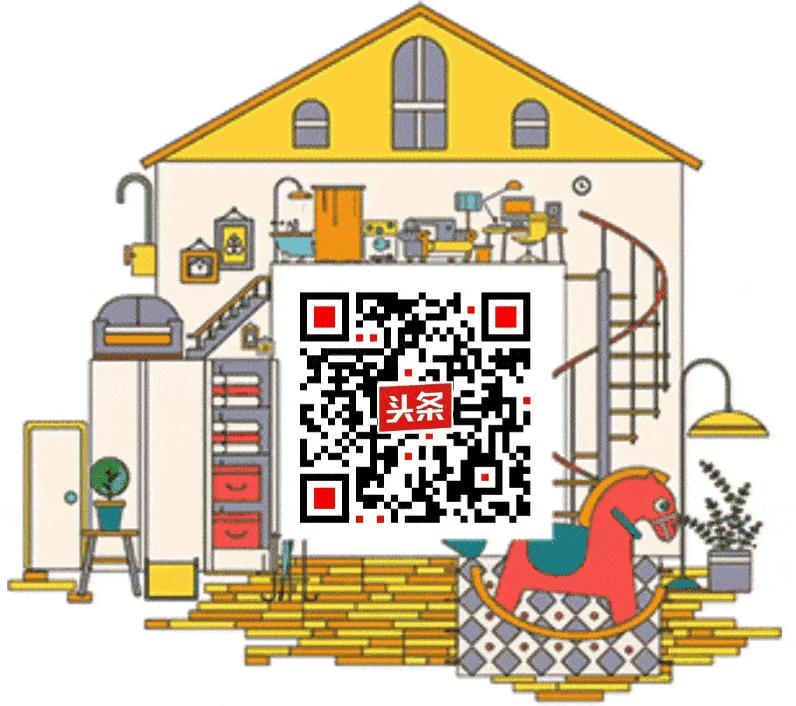 白岩松中国文化,白岩松河南什么样中国就什么样