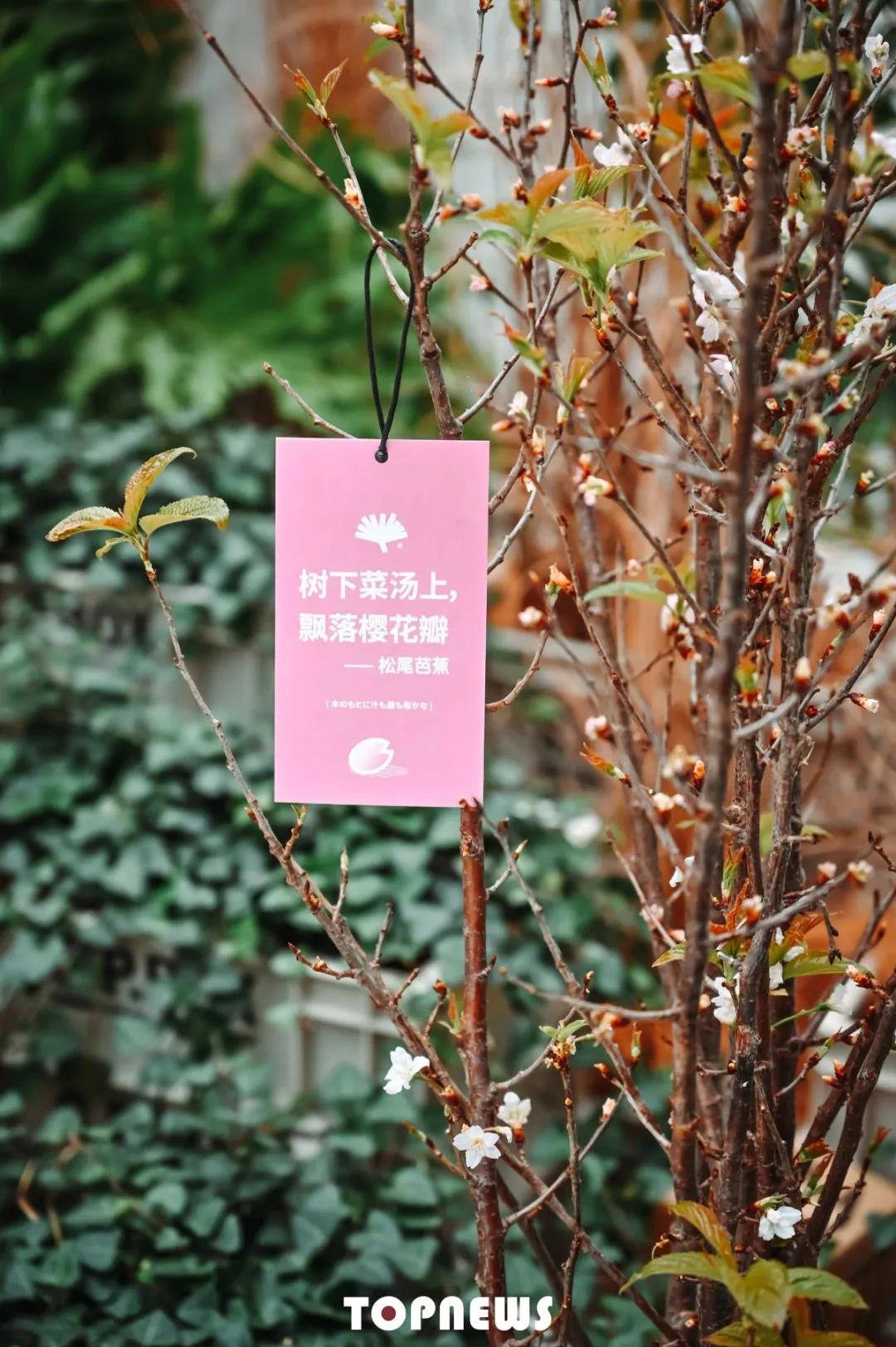 瞒不住了！魔都新晋小众创意园，随手一拍就是时尚大片