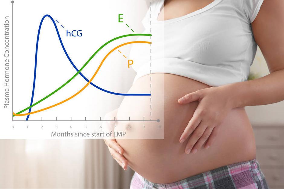 胚胎移植后的黄体支持及孕酮测量，记下这些注意事项
