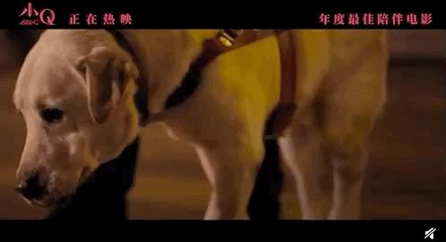 你有被人坚定的选择过吗原视频,你有被人坚定的选择过吗