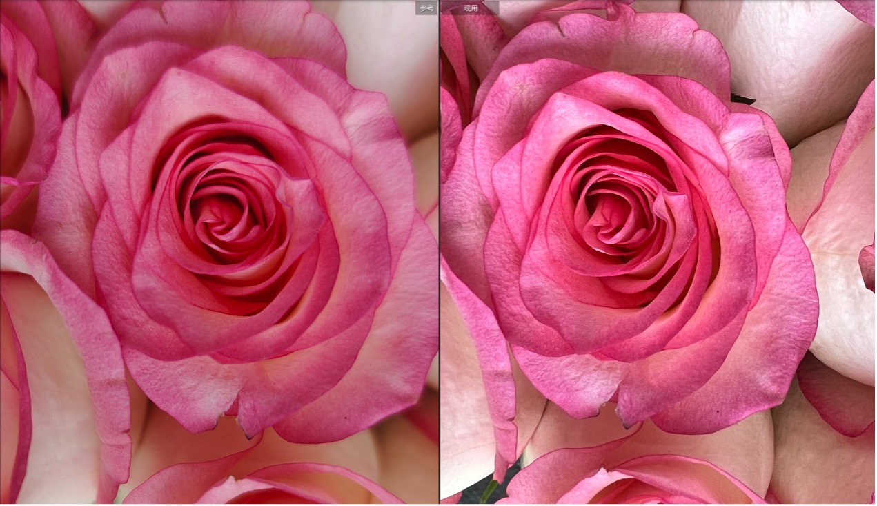 iphone13promax镜头解剖,iphone13pro跟13promax录像对比