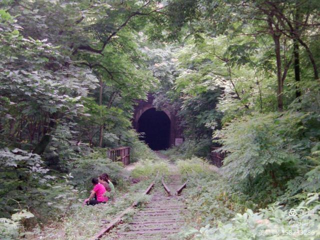 扫街日记100篇,扫街日记视频