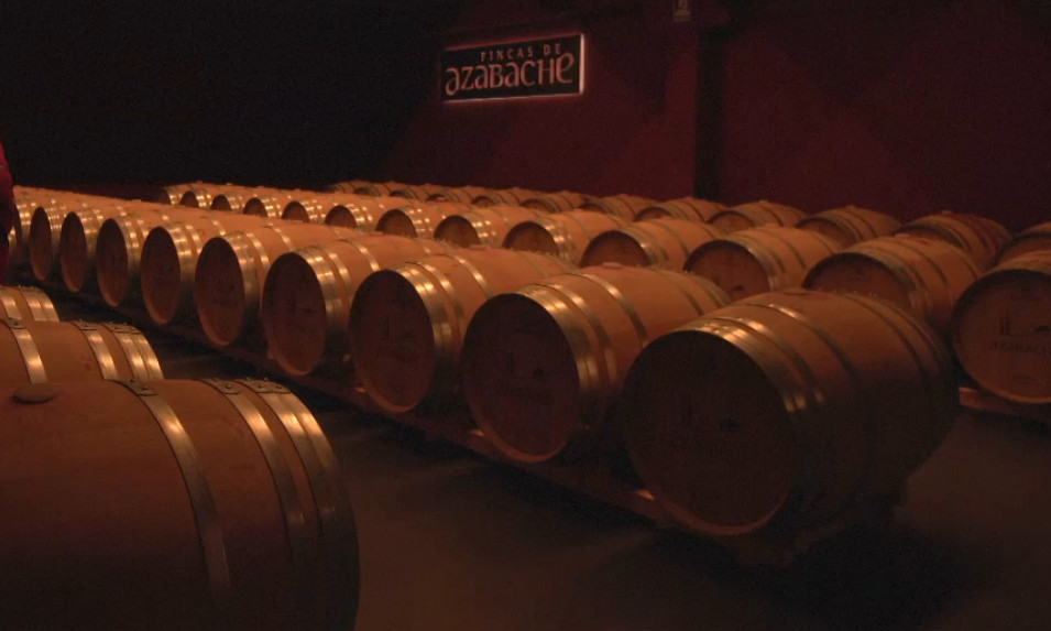 西班牙里奥哈梵蒂尼,西班牙里奥哈蓝标