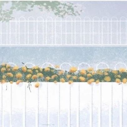 有趣的锁骨千篇一律,好看有趣的锁骨