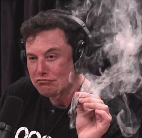 木头姐创业经历,58岁创业成功