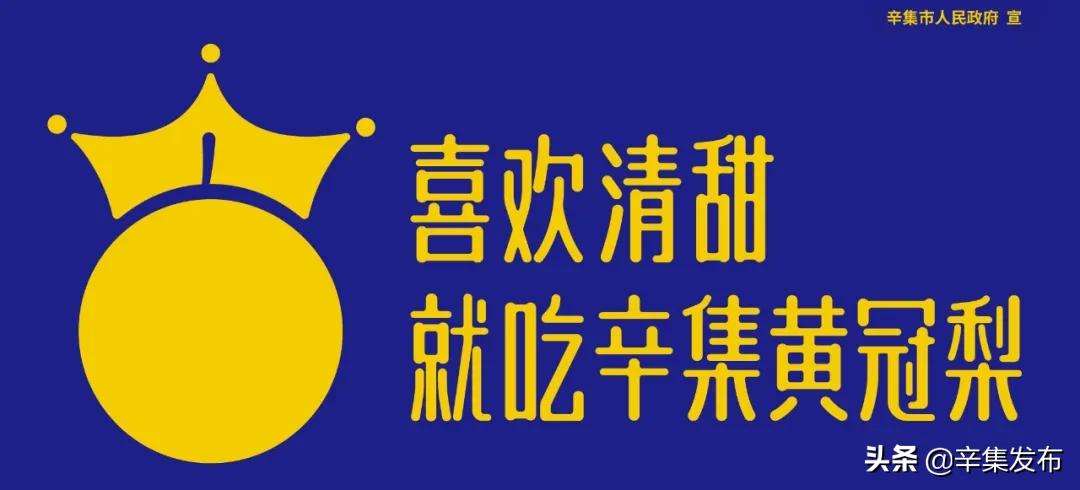 新模式！惠及56.81万人