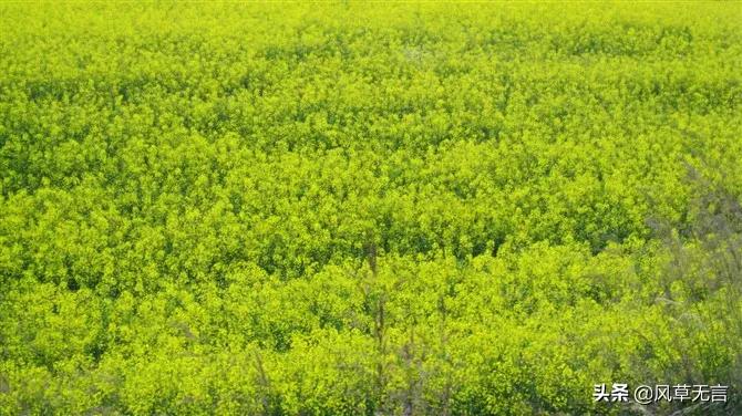 回归的日子伊犁之骑行