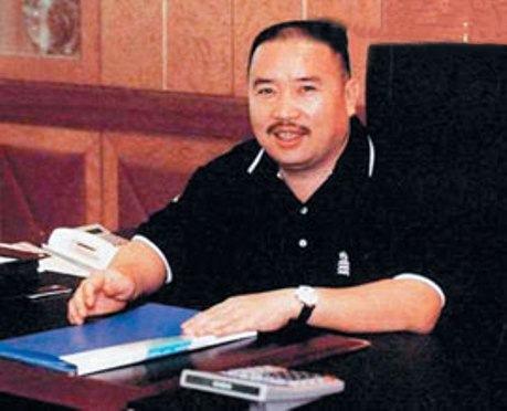 向华胜和杨钰莹有关系吗,杨钰莹跟向华胜