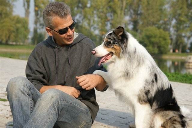 家里适合养什么狗看家护院干活,既能看家又温顺的狗还能照顾孩子