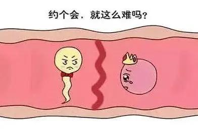 妇科有炎症会导致输卵管堵塞吗,输卵管彻底堵塞能自然受孕吗