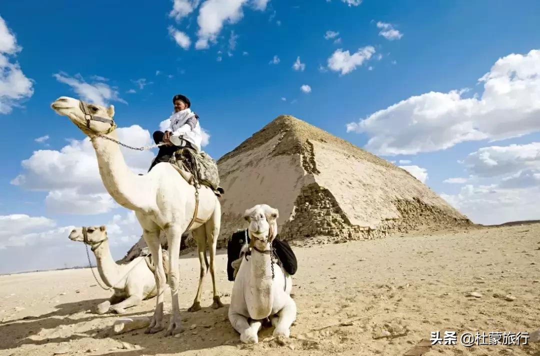 支付宝一个亿锦鲤的女孩后续,一亿暴富的锦鲤女孩