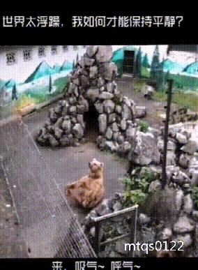 捡到了u盘里面会有什么,捡到一个u盘还好没有用