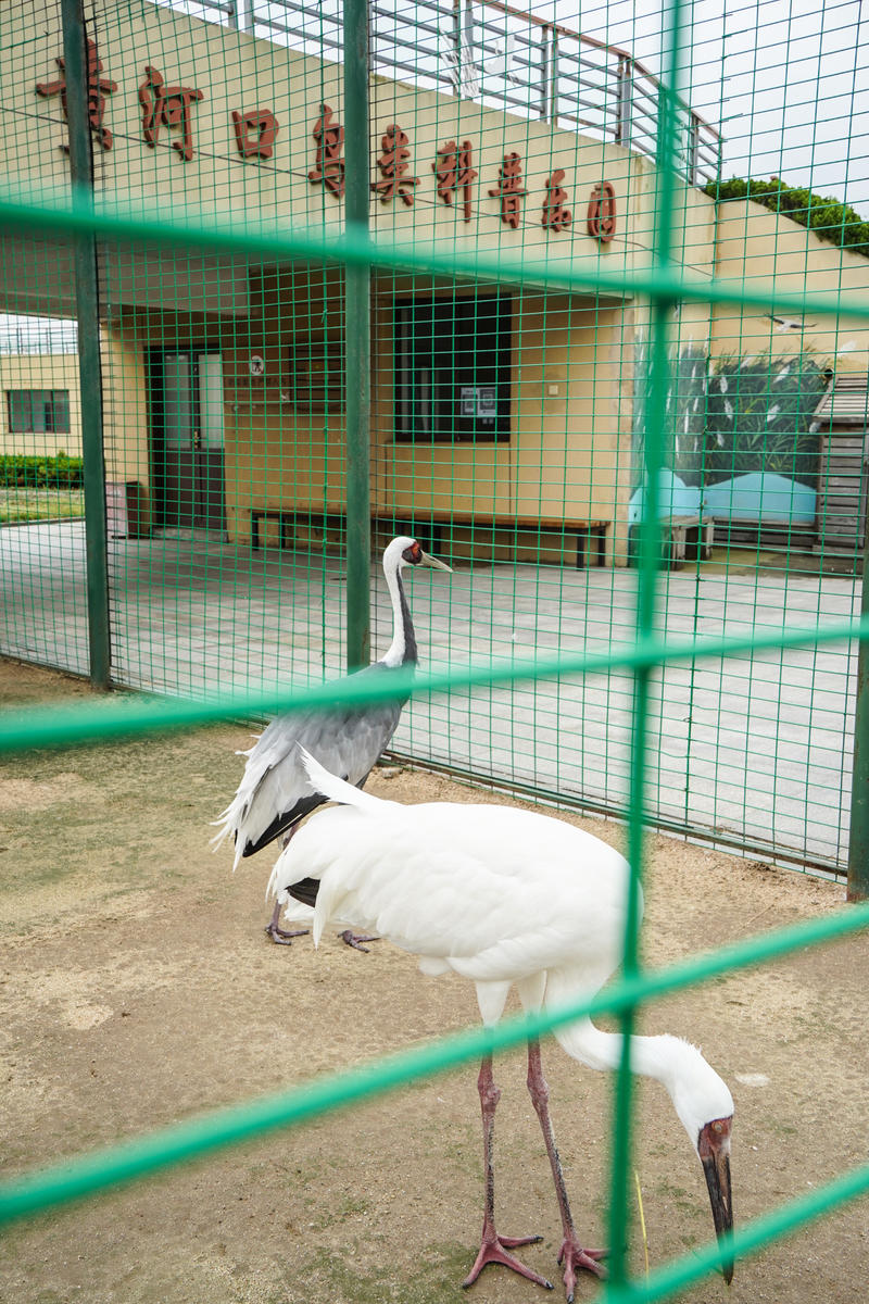 山东周边游2天1夜小众,5.1山东五日游