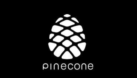 你的cpu是几核的,手机cpu最好的是多少