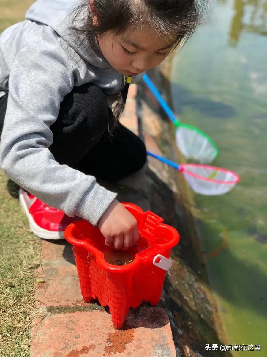 周末新都耍了一圈，朋友都以为我出了趟国