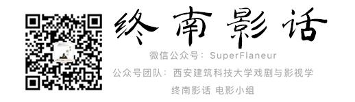 刺猬索尼克是怎么诞生的,刺猬索尼克长大的样子