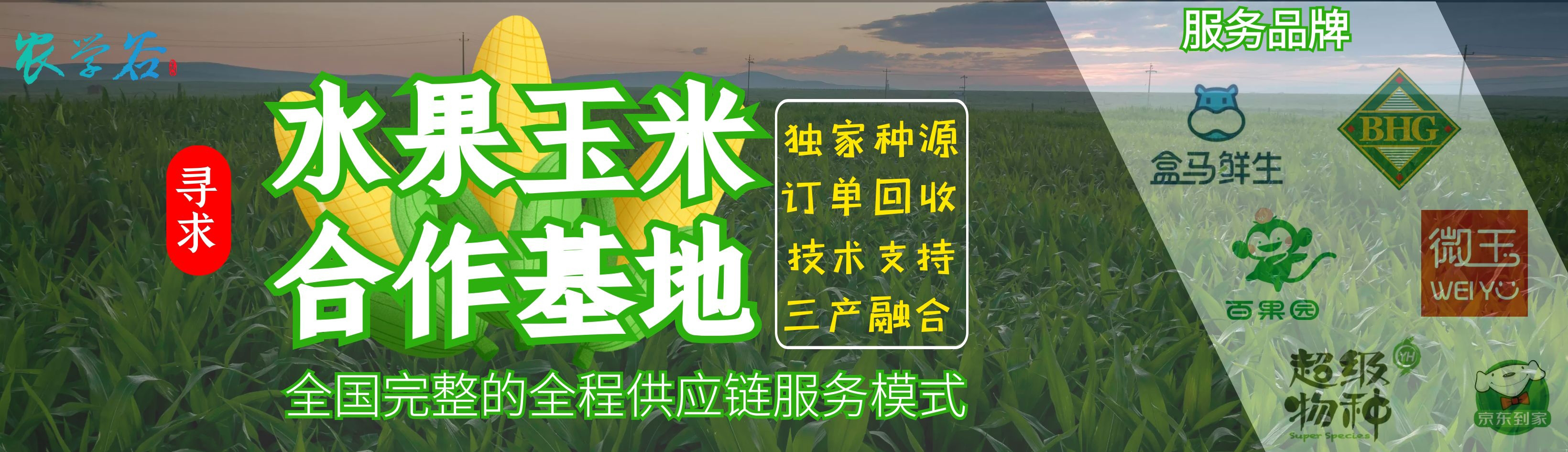 张家口的学员福利！薇娅都在推荐的水果玉米邀您来合作啦