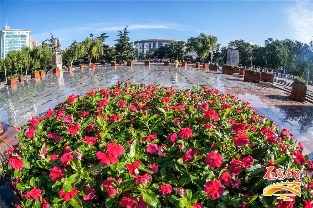 四十年前石家庄街景视频,石家庄40年