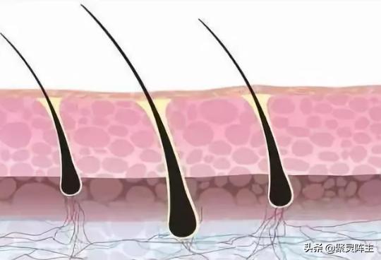 头发防脱产品排行榜 (头发控油防脱)