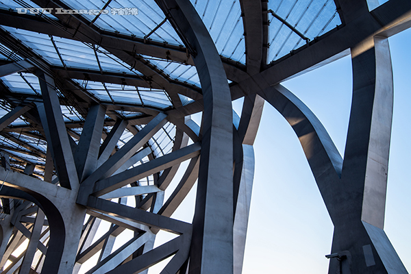 鸟巢国家体育场直播,鸟巢国家体育场攻略