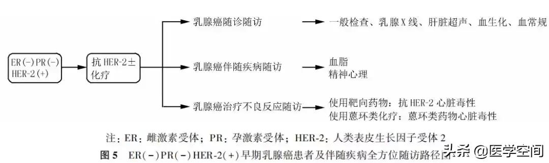 乳腺癌随访及伴随疾病管理指南,乳腺癌随访指南