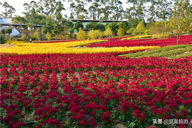 花都区美林湖度假区,花都美林湖风景