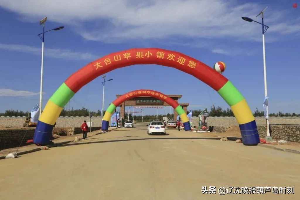 最新大型农场果树管理招聘,绥中大台山果树农场