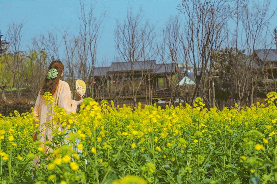 成都春游好去处周末 (成都周边周末春游推荐)