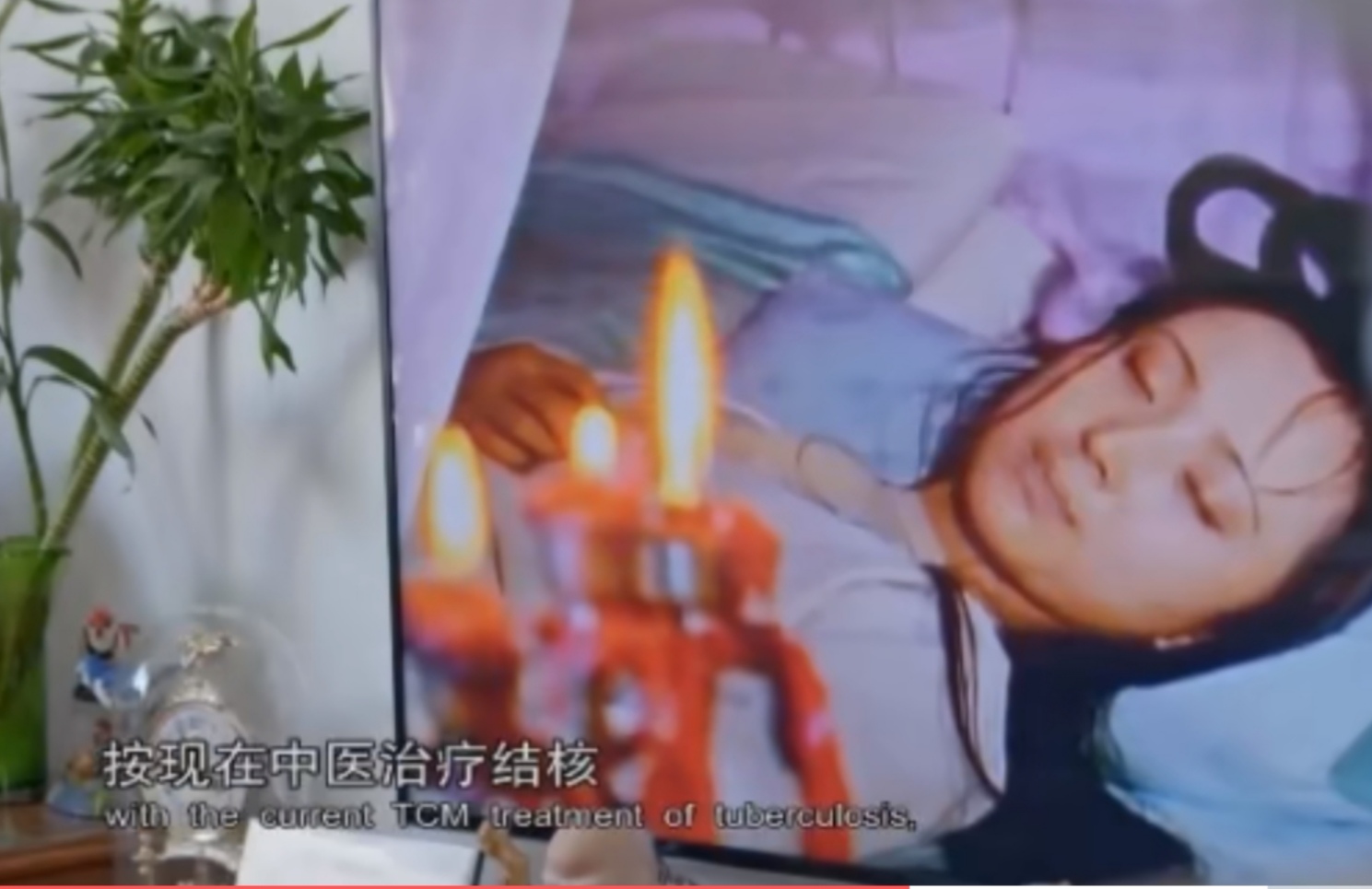 瓜蒌栽培技术视频,中药材瓜蒌种植技术与方法