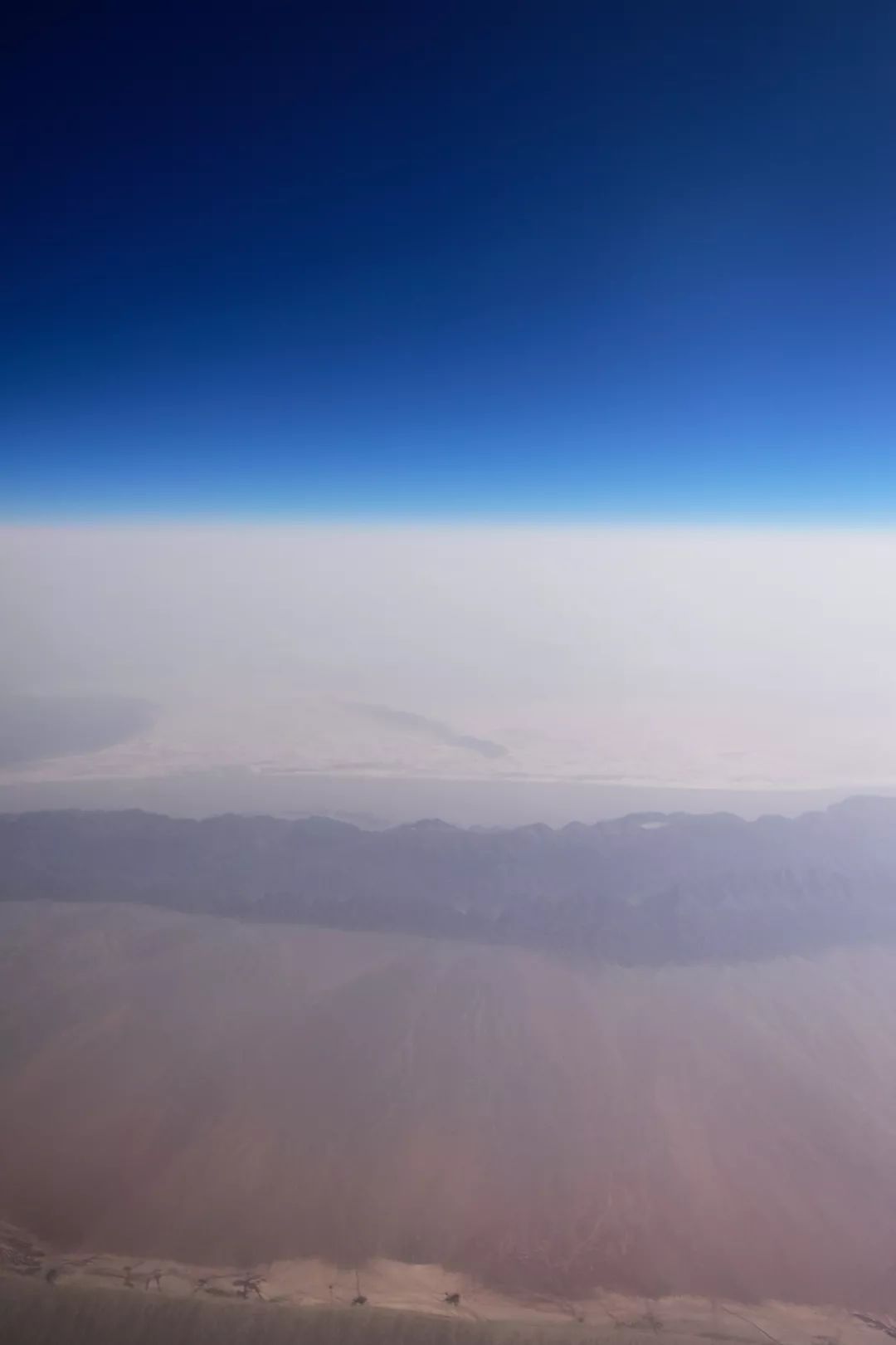 新疆炫富方式是什么,新疆喀什好种的花