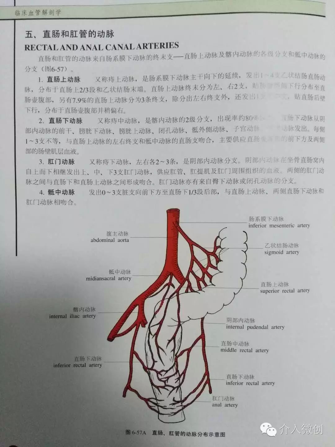 哪种手术治疗痔疮不复发,中医不手术如何治疗痔疮