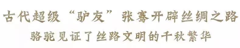 比起故宫猫，毫无颜值的西域骆驼，却在丝绸之路上火了两千多年