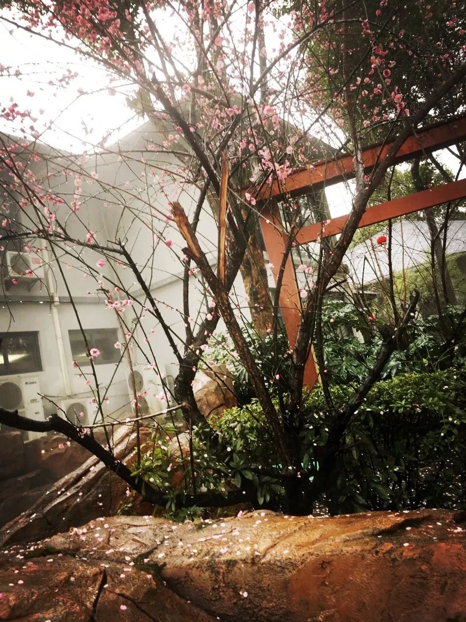 武汉周边温泉东南亚风情酒店,武汉周边温泉别墅度假哪里好