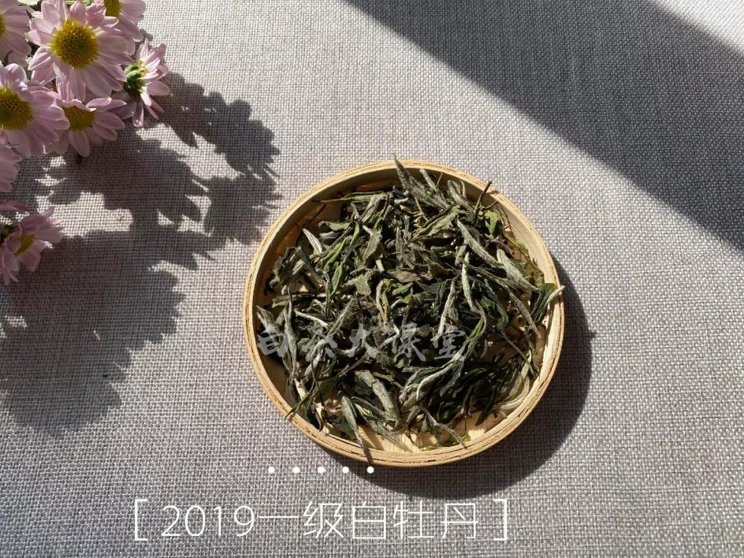 白茶好茶的标准,怎么样的白茶才是好茶