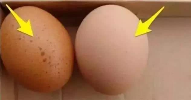 宝宝吃鸡蛋的六大误区,宝宝吃生鸡蛋会发烧了怎么办